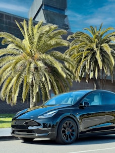 A sleek black car with a glossy finish reflecting palm trees and blue skies after detailing.