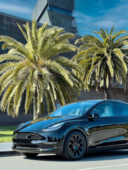 A sleek black car waiting outside Miami International Airport with palm trees in the background.