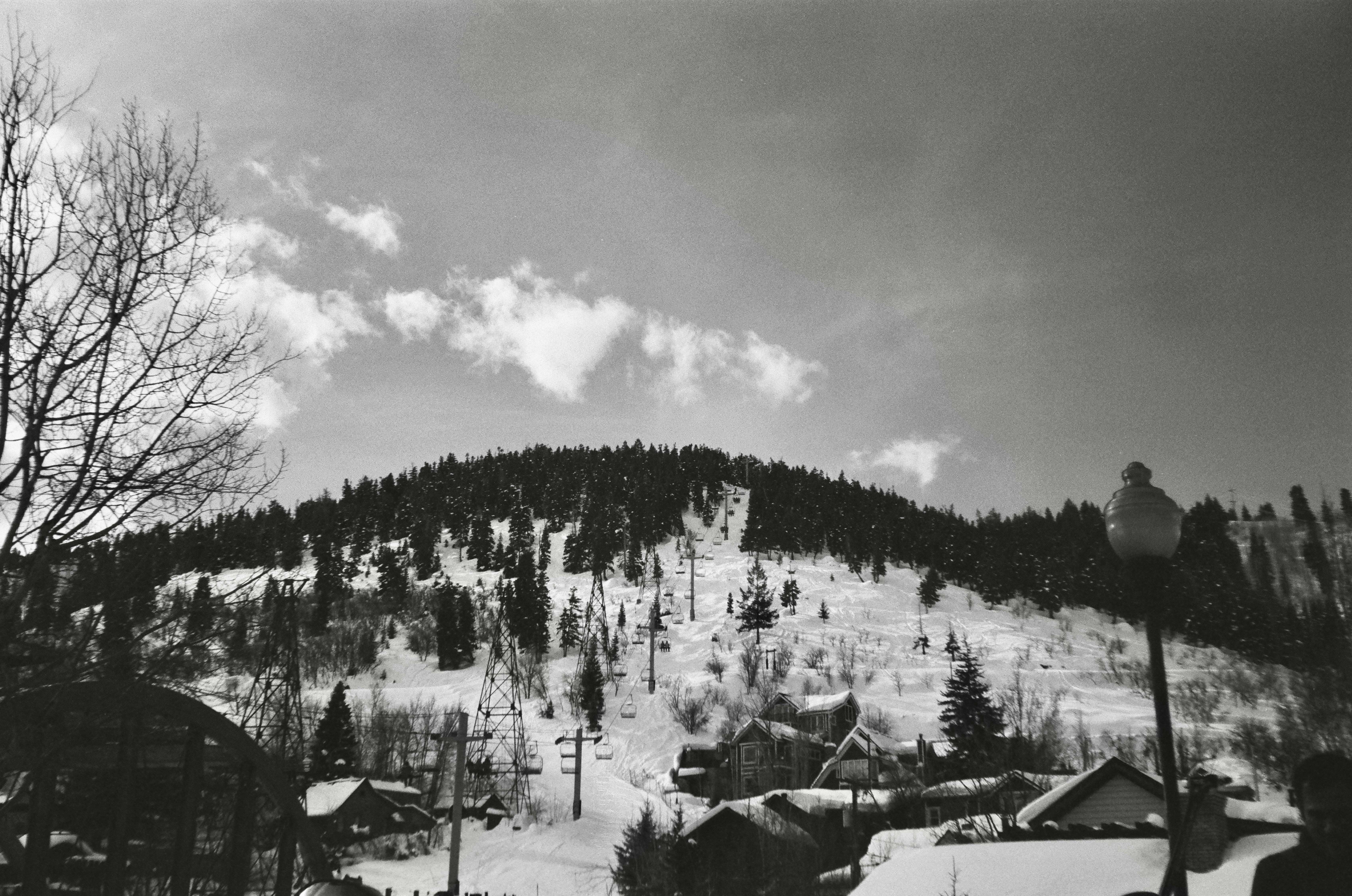 Photo by valley_views