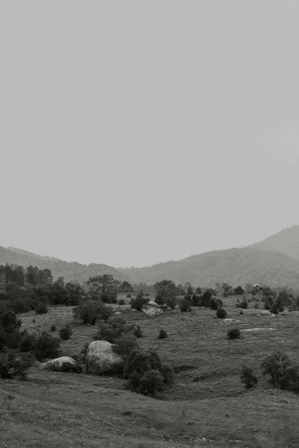 Una foto in bianco e nero di una catena montuosa