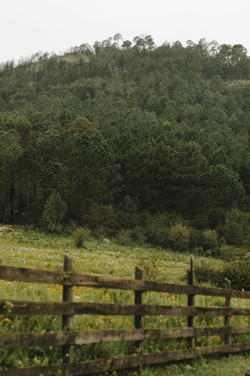 a wooden fence in front of a lush green hillside