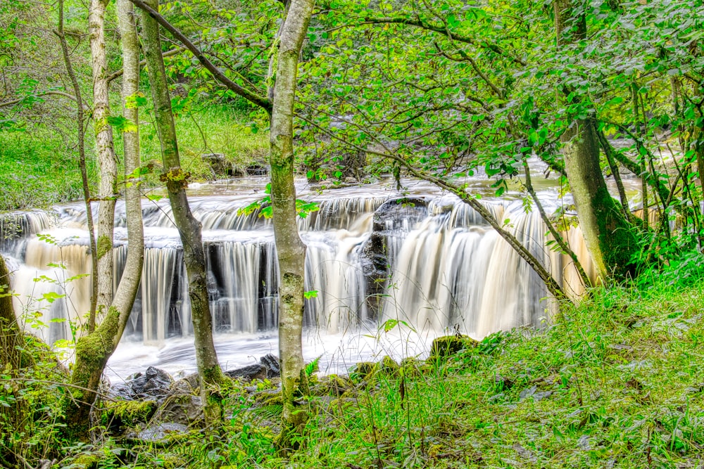 a small waterfall in the middle of a forest