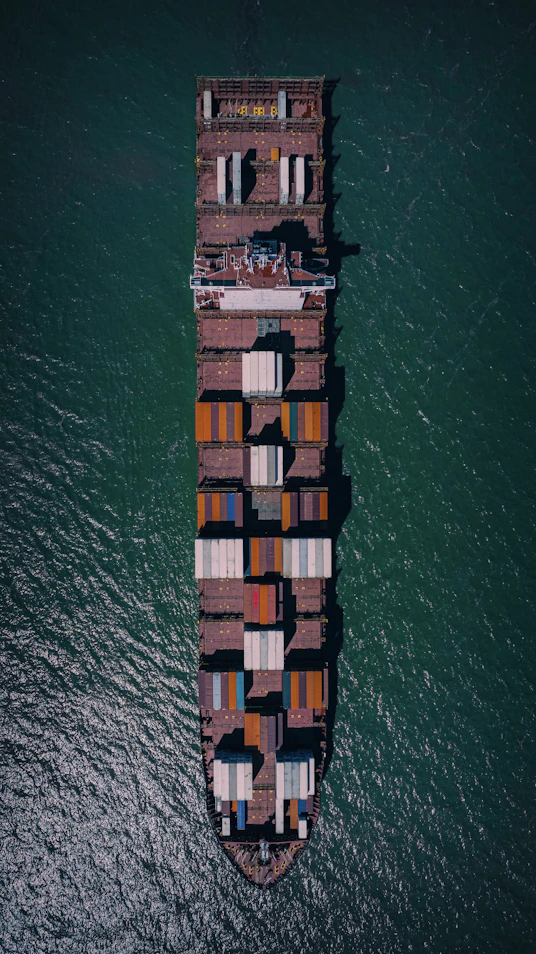 A professional consultant reviewing shipping documents with a backdrop of cargo containers and a world map.