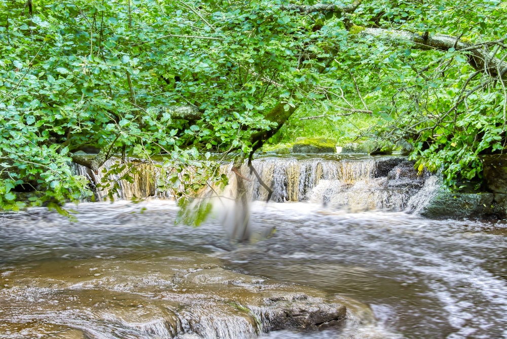 a person standing in a stream of water surrounded by trees