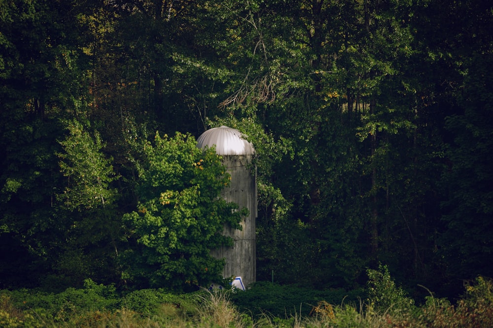 a round structure in the middle of a forest