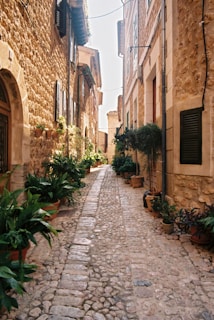 A narrow cobblestone street in a quaint Italian village lined with flowering balconies.