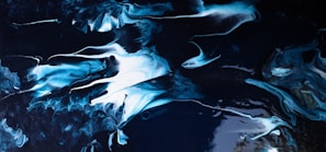 Abstract blue waves blending into a white background symbolizing growth