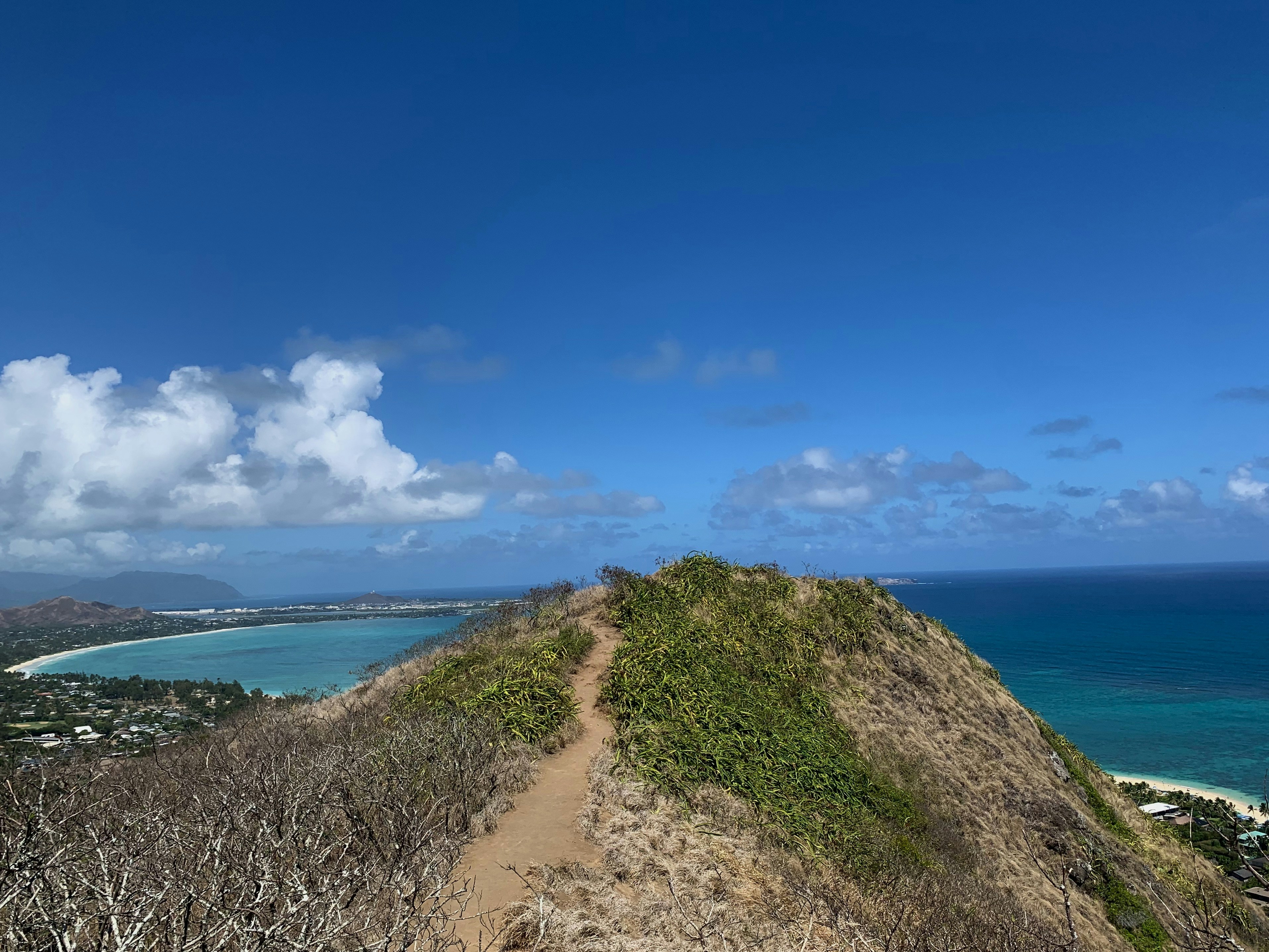 Photo by graciew1125