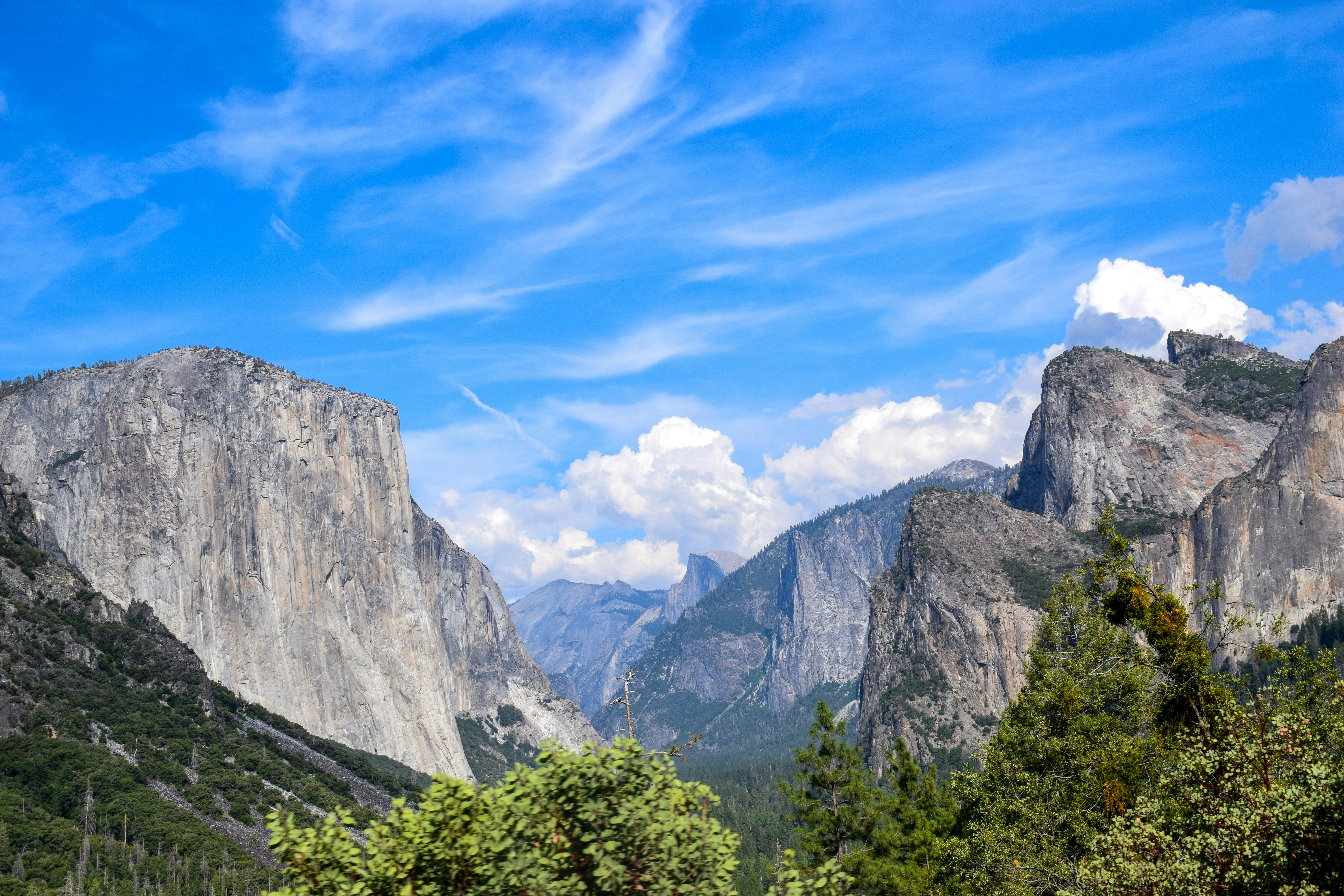 Photo by taylor_cowling_photos