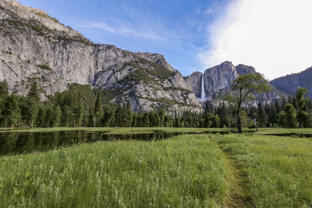 a grassy field with a waterfall in the background