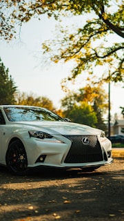 A sleek white Lexus car is parked on a leaf-strewn street under a canopy of green and yellow autumn leaves. The vehicle's shiny exterior contrasts with the earthy tones of the environment, and the lighting suggests a sunny day.