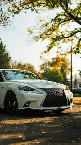 A sleek white Lexus car is parked on a leaf-strewn street under a canopy of green and yellow autumn leaves. The vehicle's shiny exterior contrasts with the earthy tones of the environment, and the lighting suggests a sunny day.