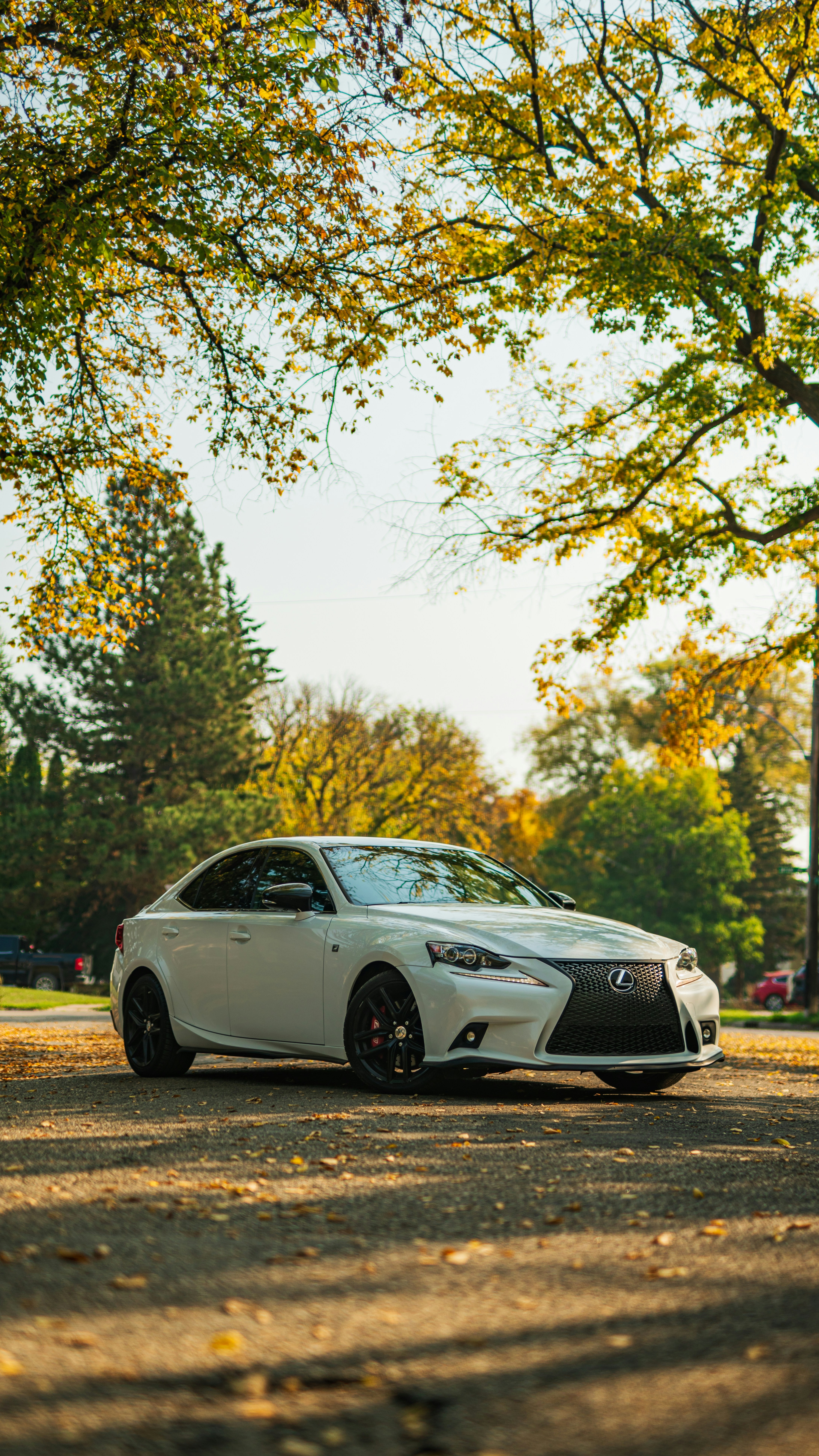 A white car parked on the side of a road photo – Free Fall shooting ...
