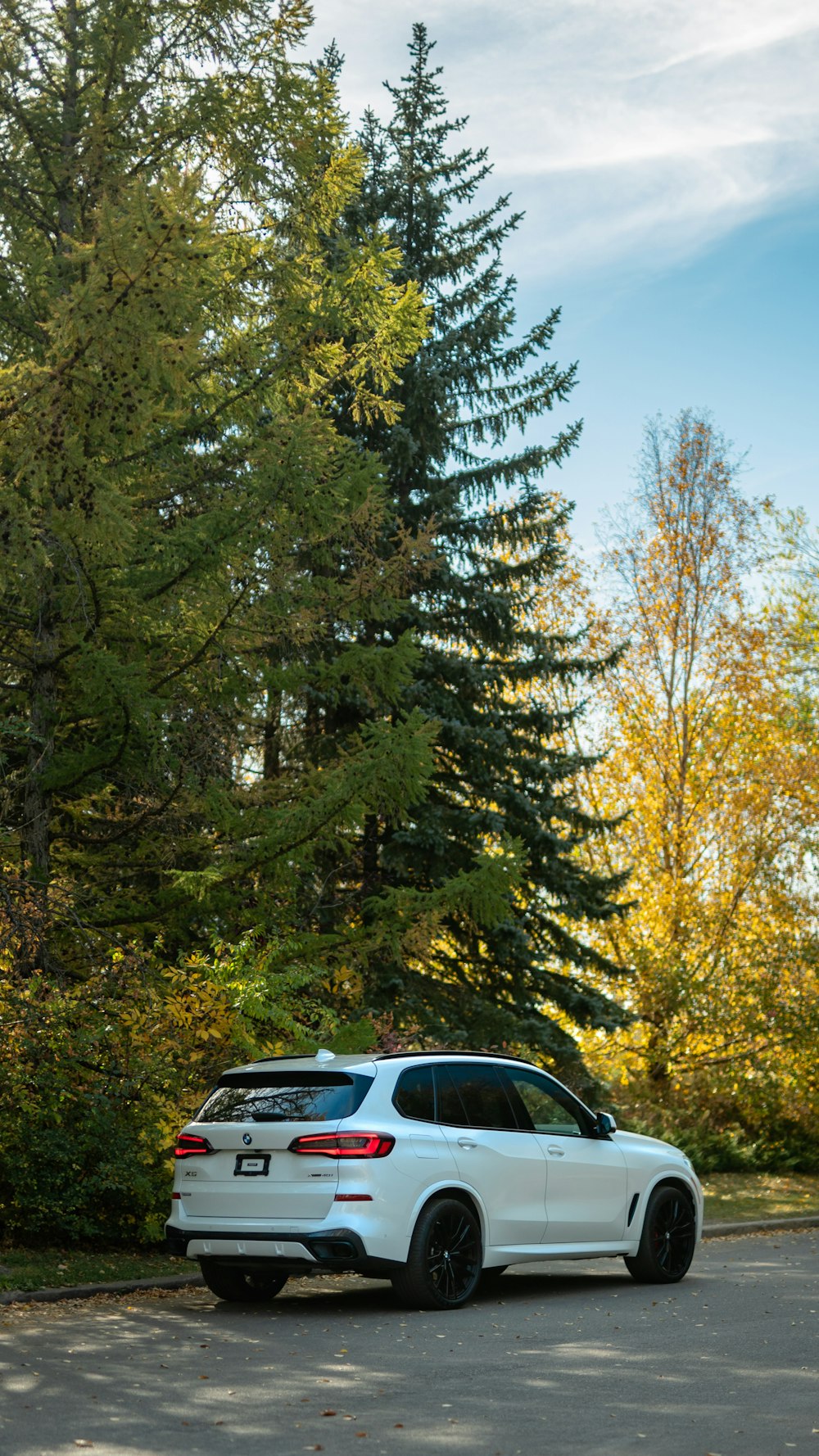 a white car parked in front of a forest