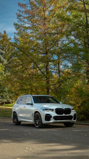 Grey family SUV parked near a leafy park, highlighting spaciousness and condition.