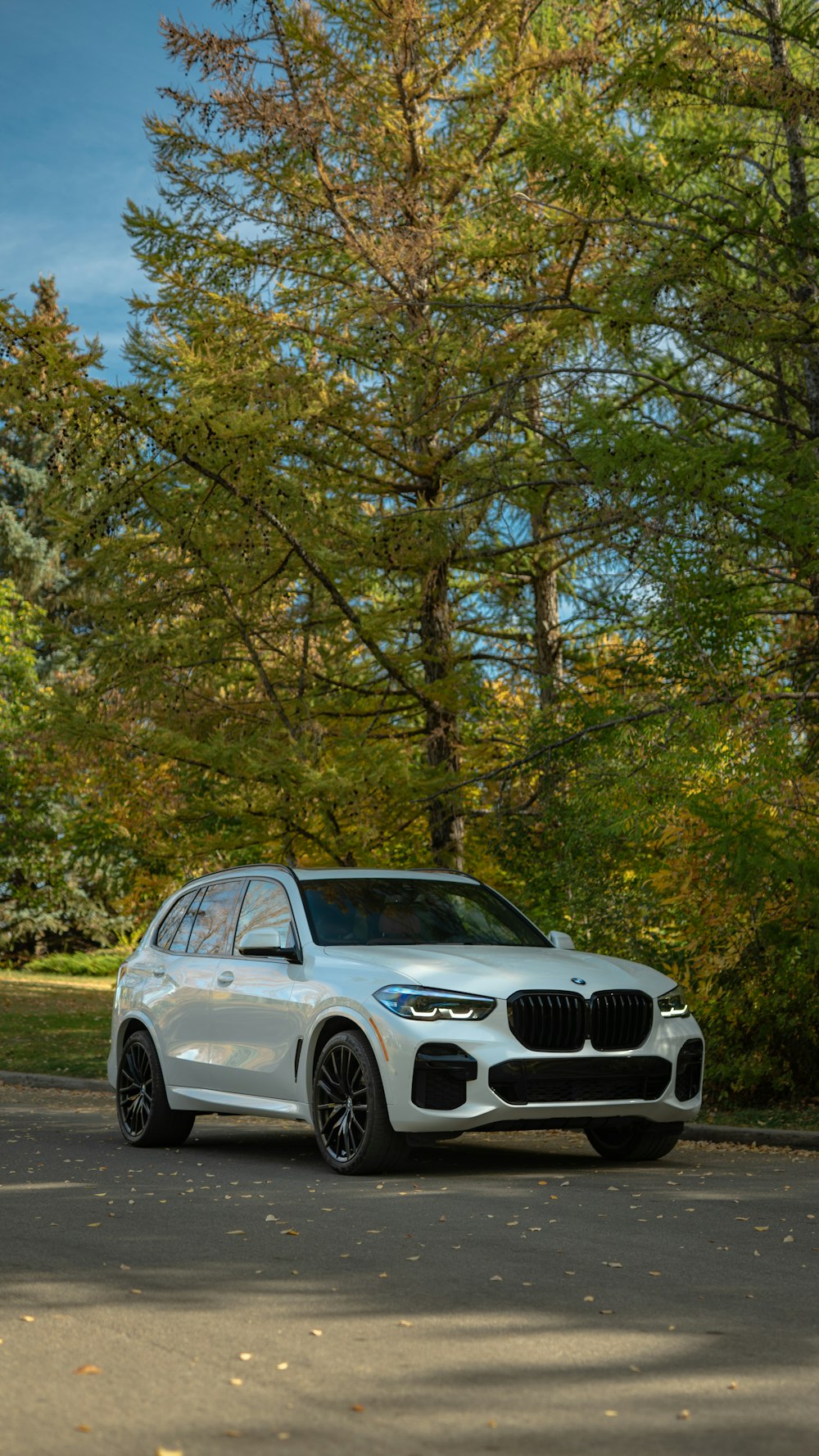 Un BMW SUV blanco estacionado al costado de la carretera