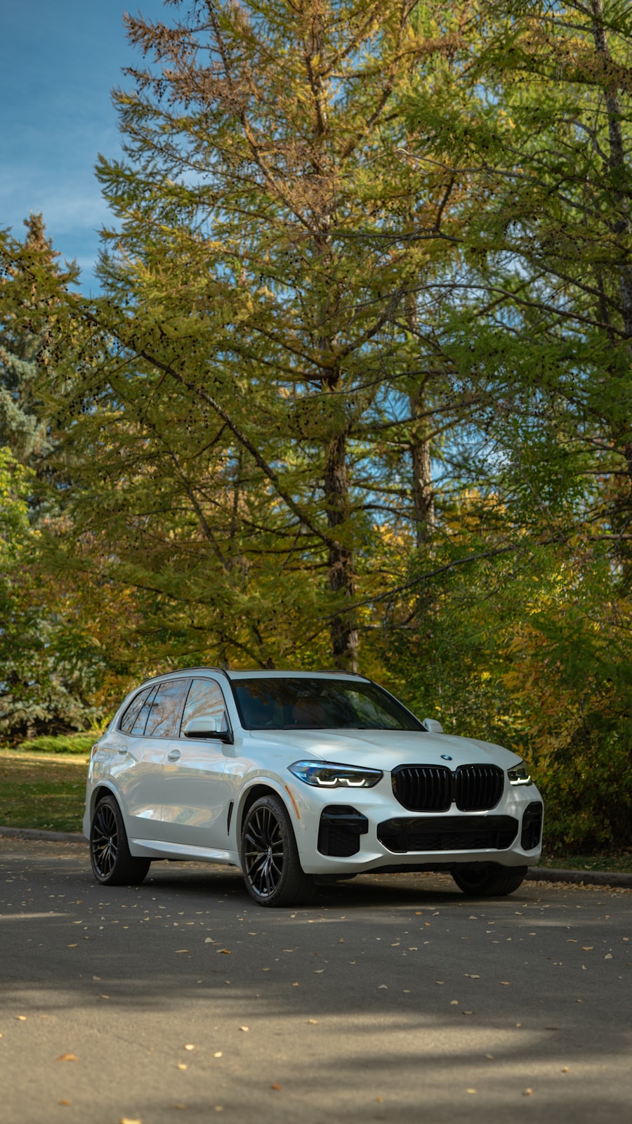 BMW X5 vue extérieure