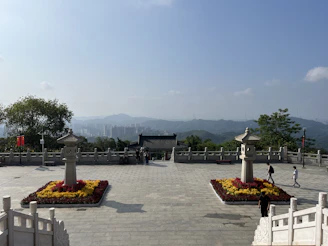 Charming courtyard with traditional lanterns and flowering plants.