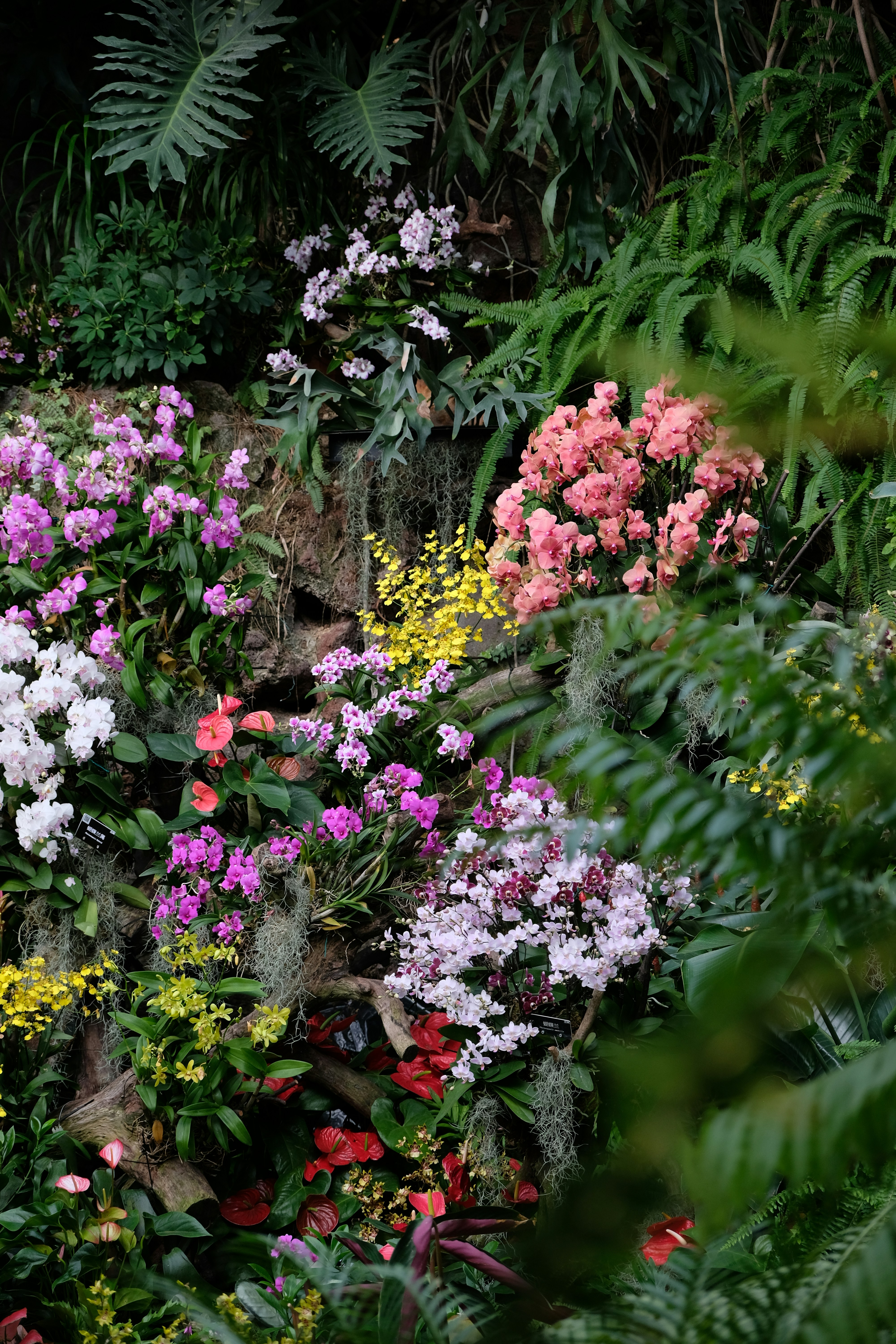 a garden filled with lots of different colored flowers