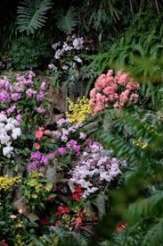 A lush and vibrant garden filled with a diverse array of flowers, including pink and purple orchids, bright yellow blooms, and deep red anthuriums. The background is rich with green foliage, ferns, and leafy plants, creating a dense jungle-like atmosphere.