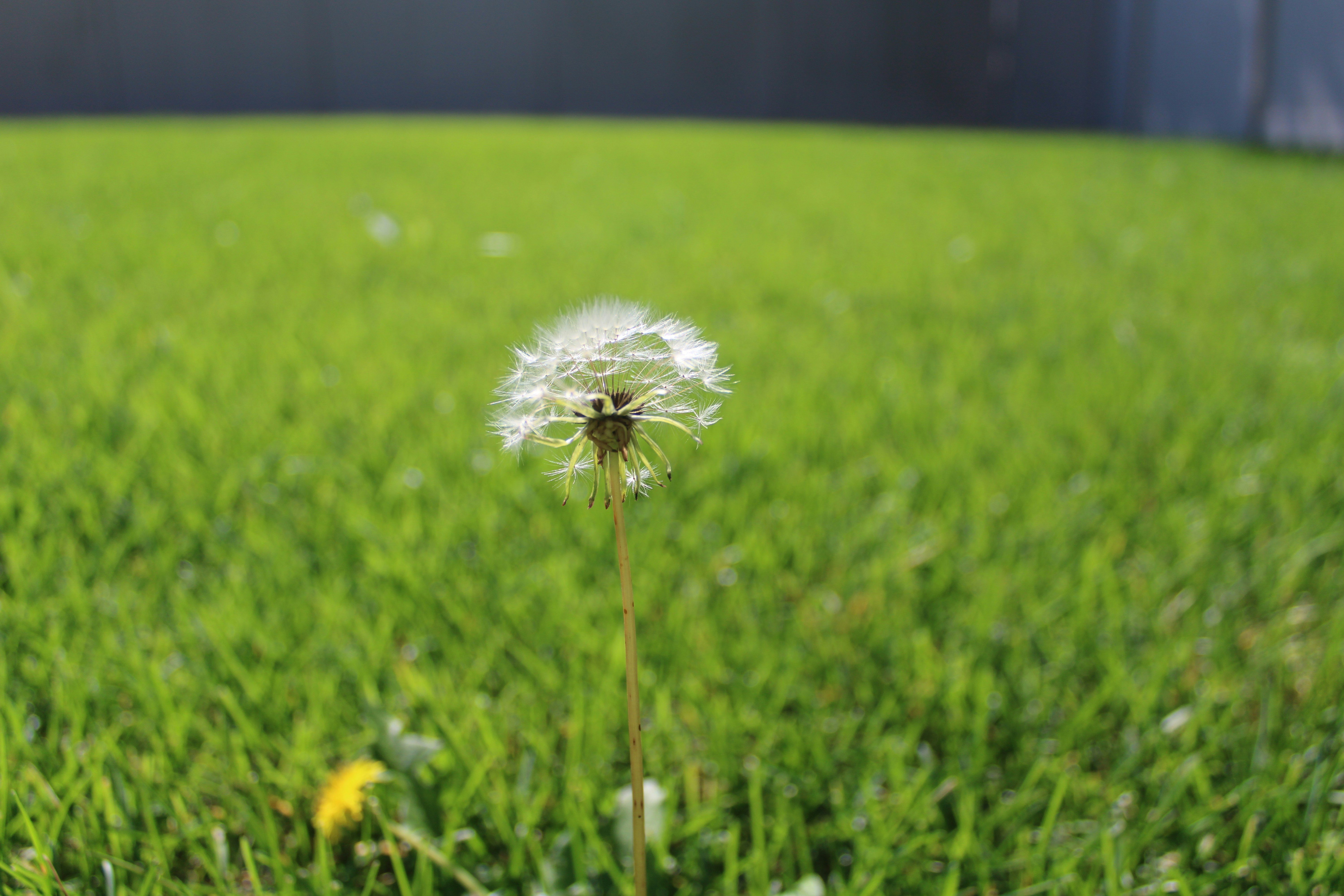 Photo by zakcanonrebelt7