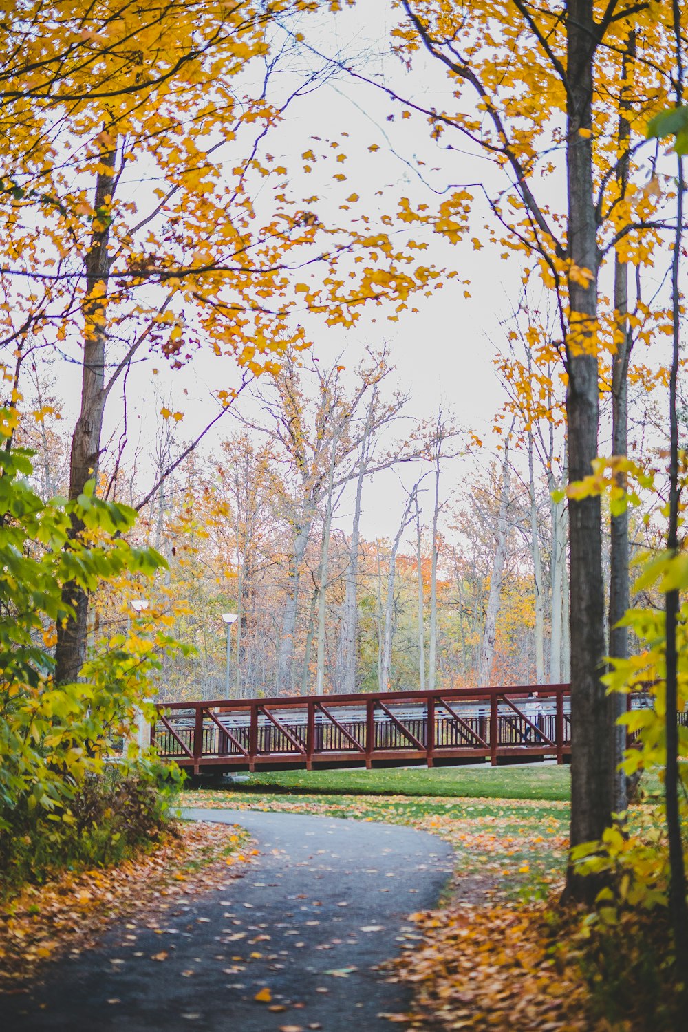 a red bridge over a small stream in a park