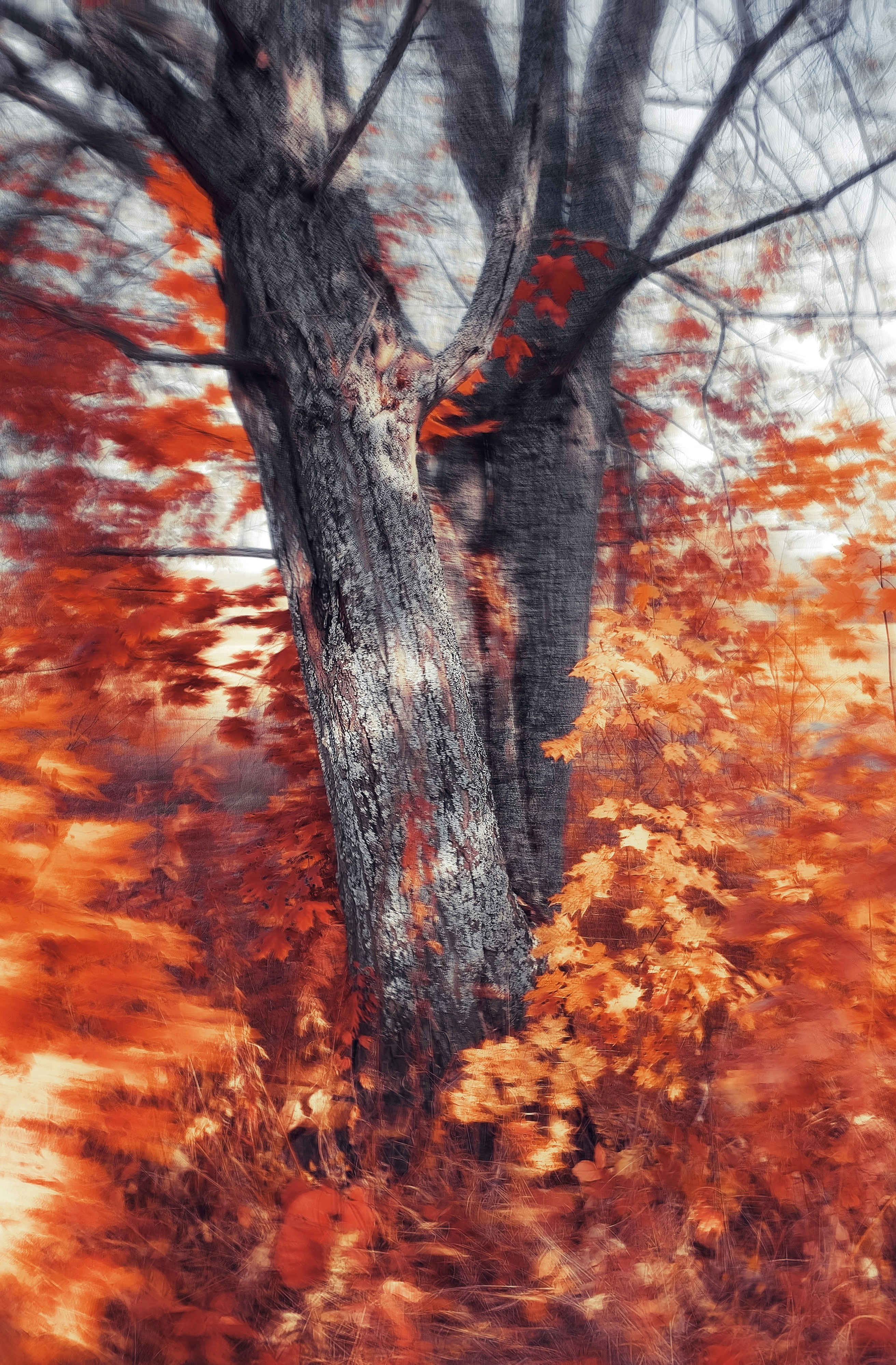 Photo by eugene_golovesov