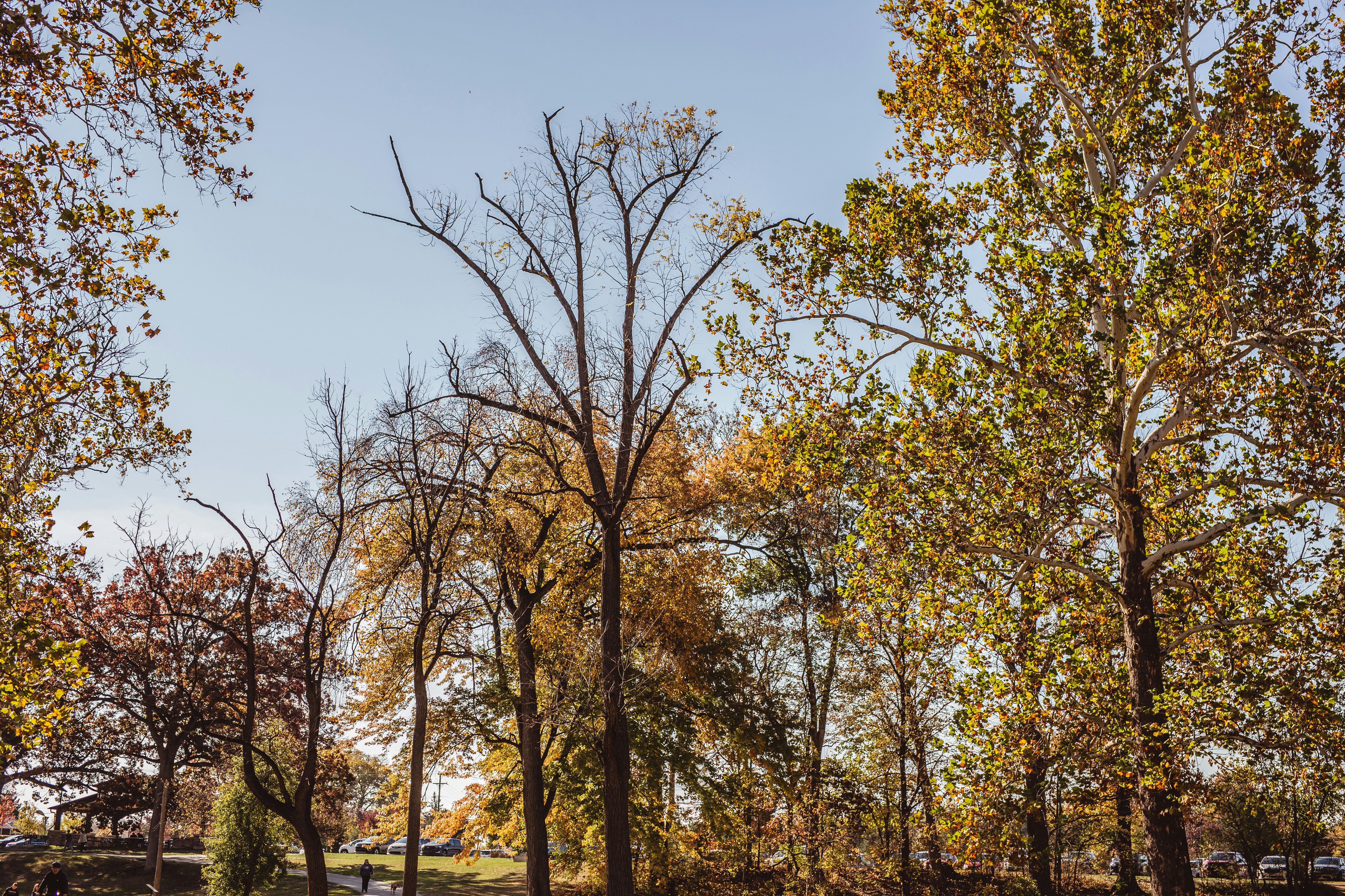 Photo by taylorjacobs