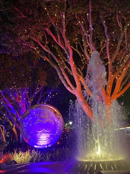A nighttime scene featuring a coin-like structure with the Disney logo and text '100 Years of Wonder' in purple and blue lighting. A fountain is in front of the structure, with water illuminated by yellow and white lights. Trees with orange trunks and wrapped in string lights form a backdrop.