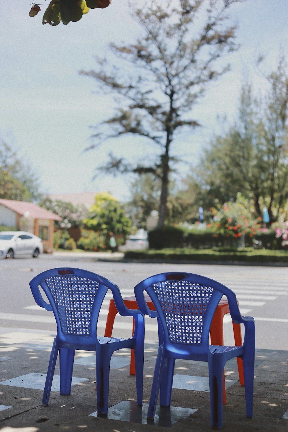 two blue chairs sitting on a sidewalk next to a tree
