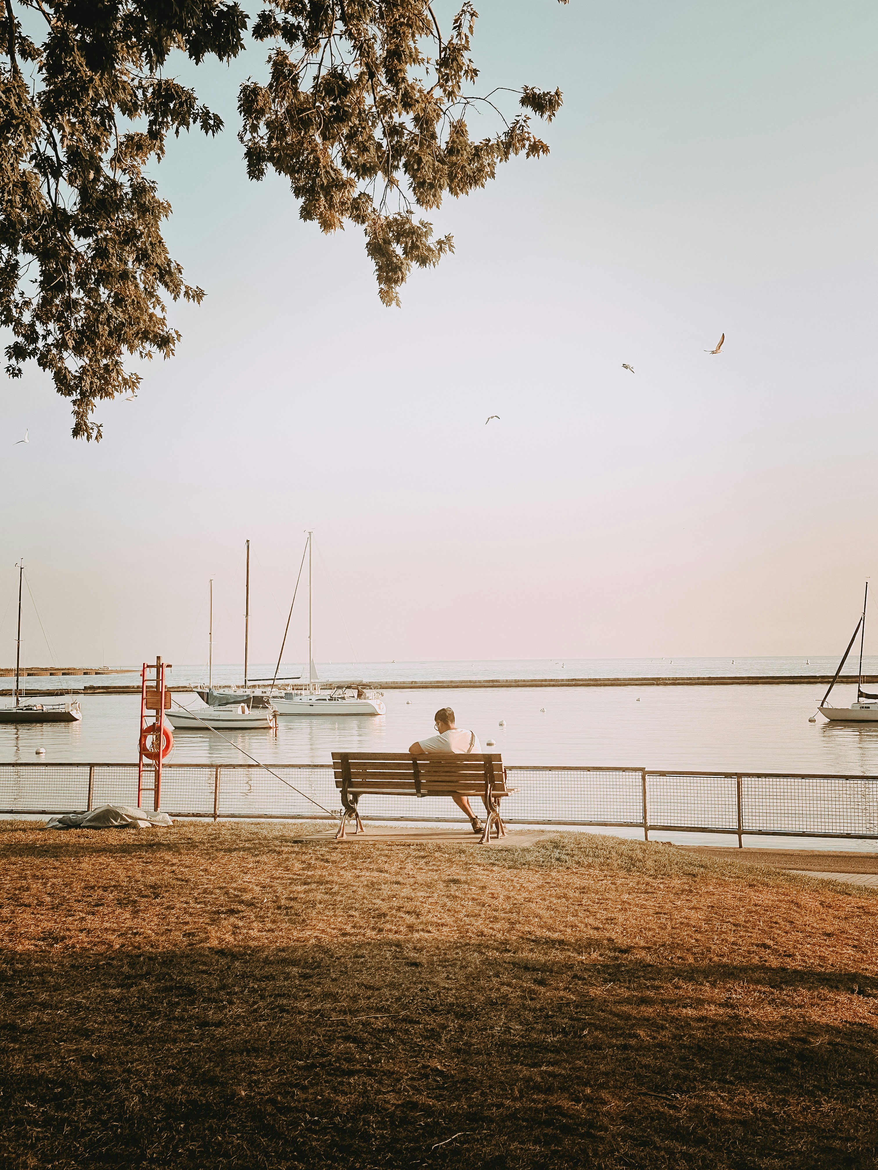 Photo by vitalymazur