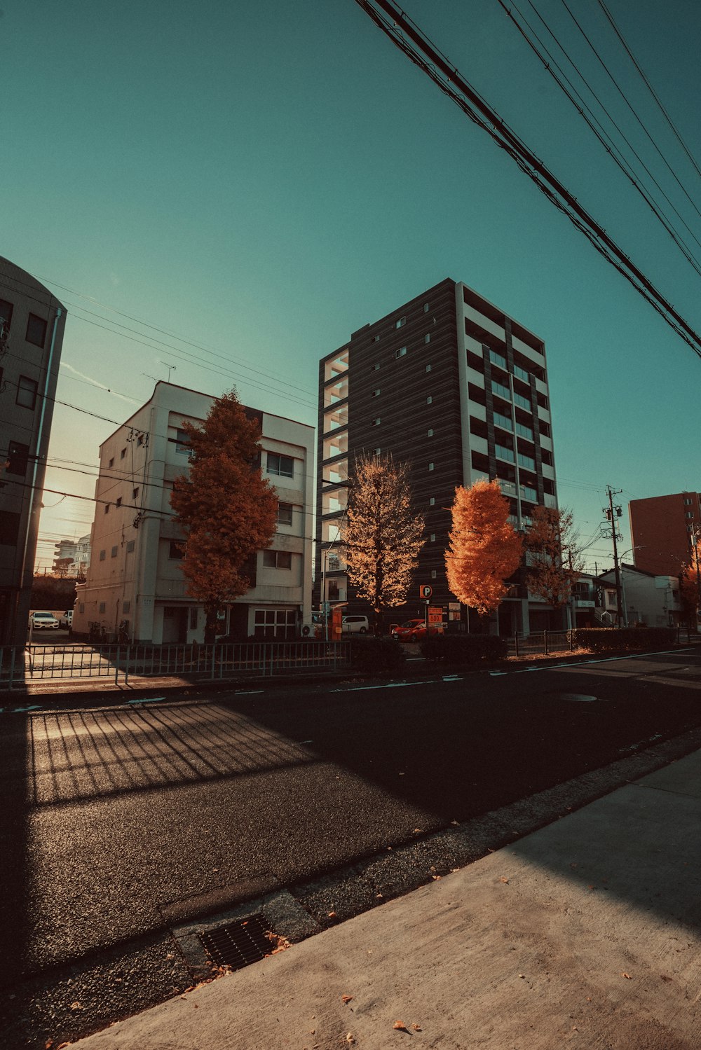 a city street lined with tall buildings under a blue sky