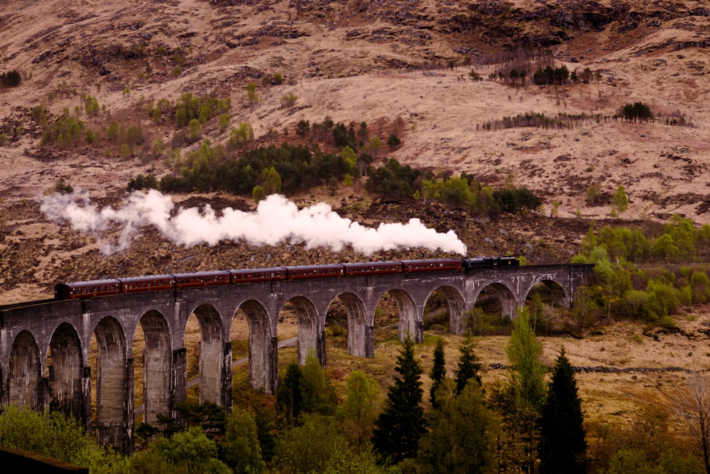 a train traveling over a bridge with steam pouring out of it