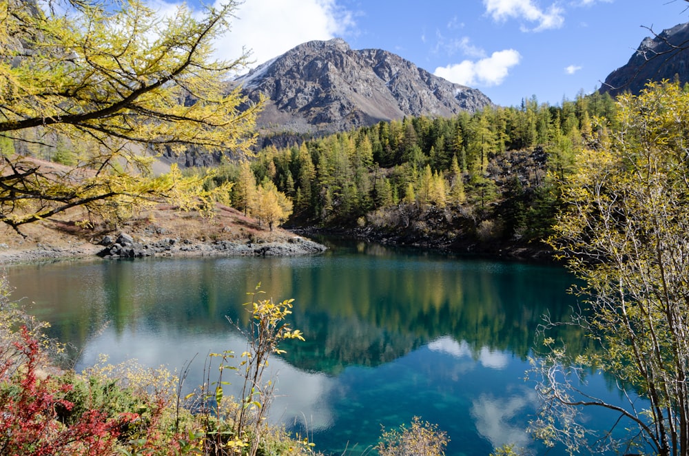 a blue lake surrounded by trees and mountains