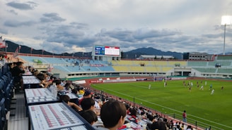 A vibrant outdoor soccer field with players in action.