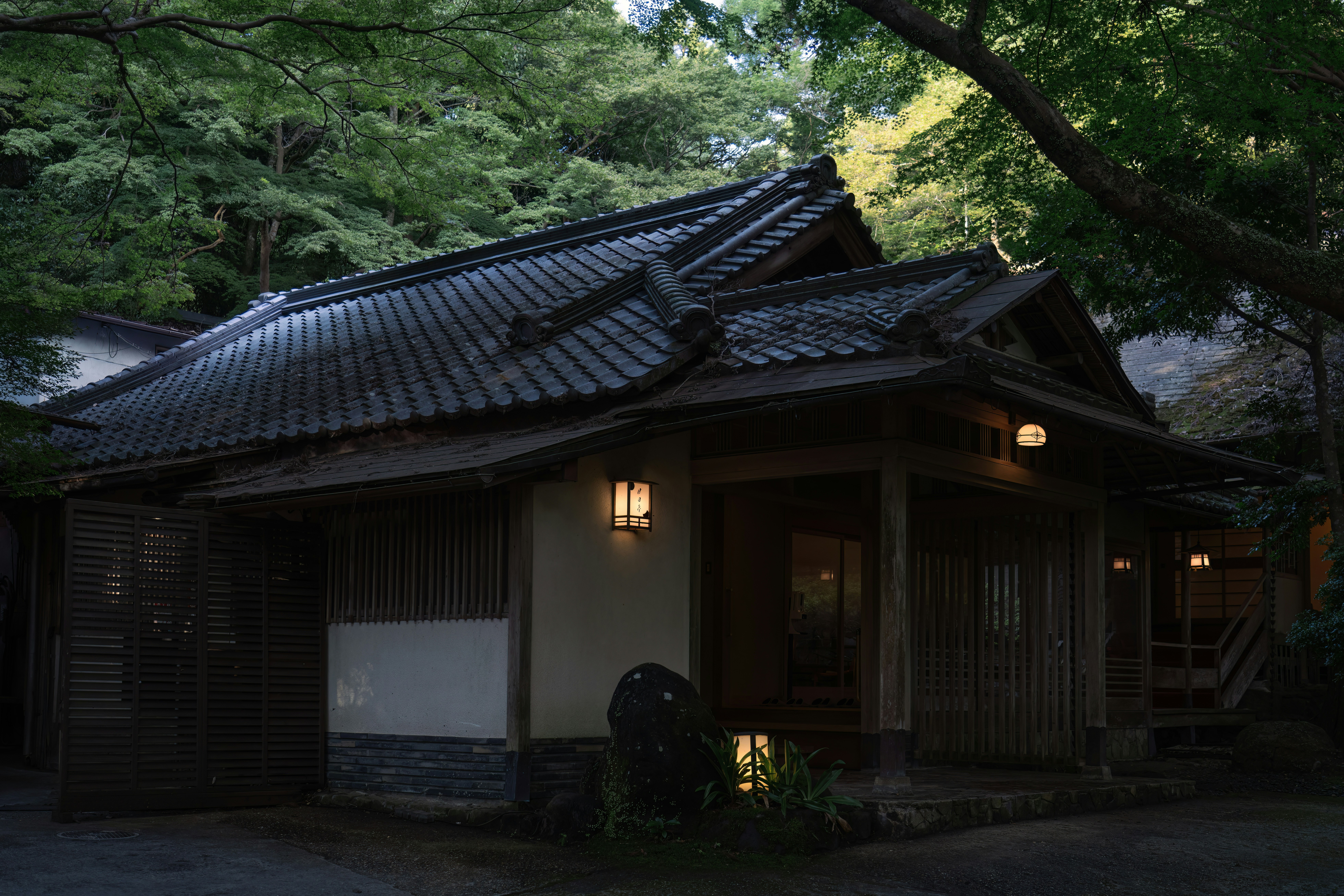 Photo by juniperphoton