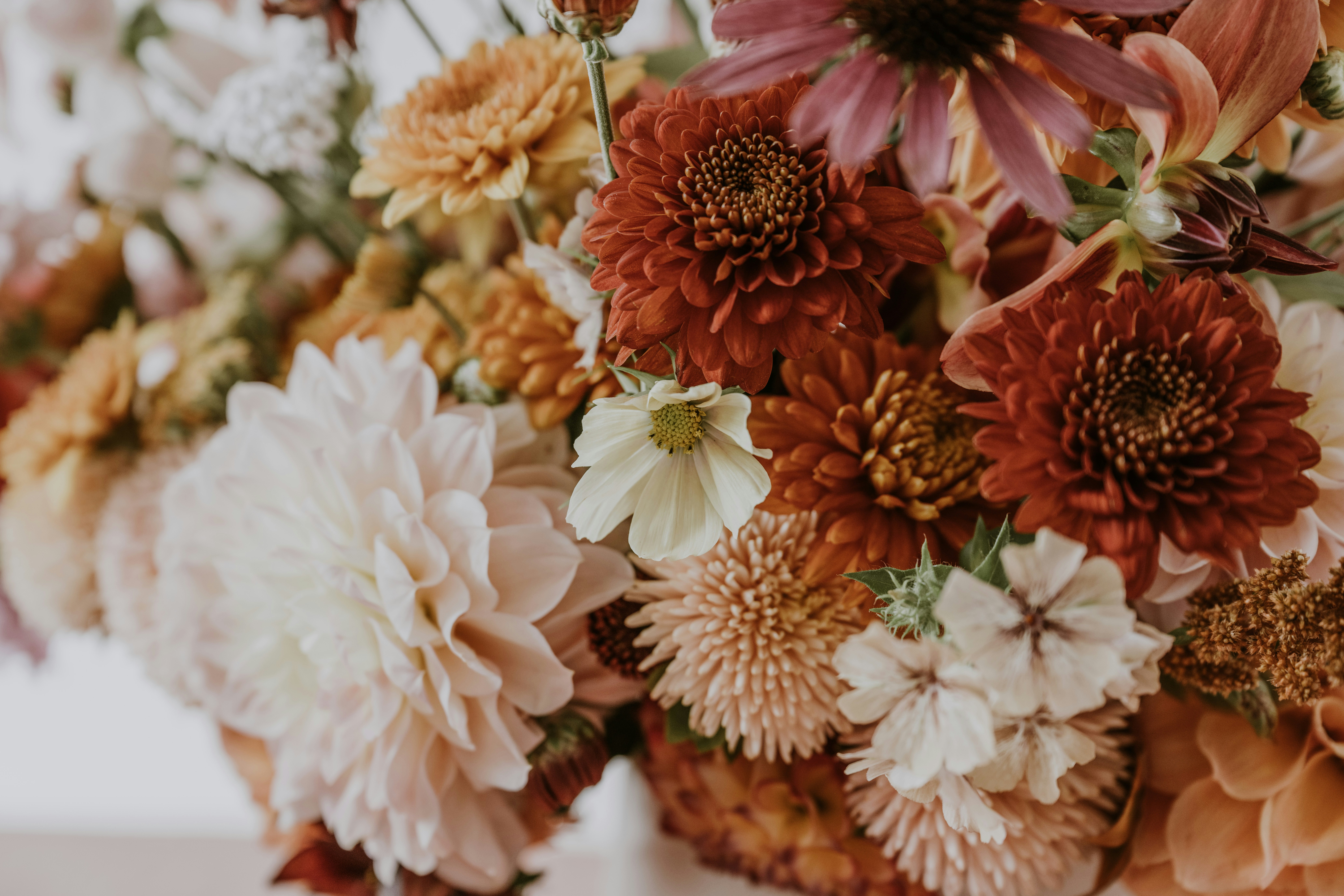 Photo by anitaaustvika