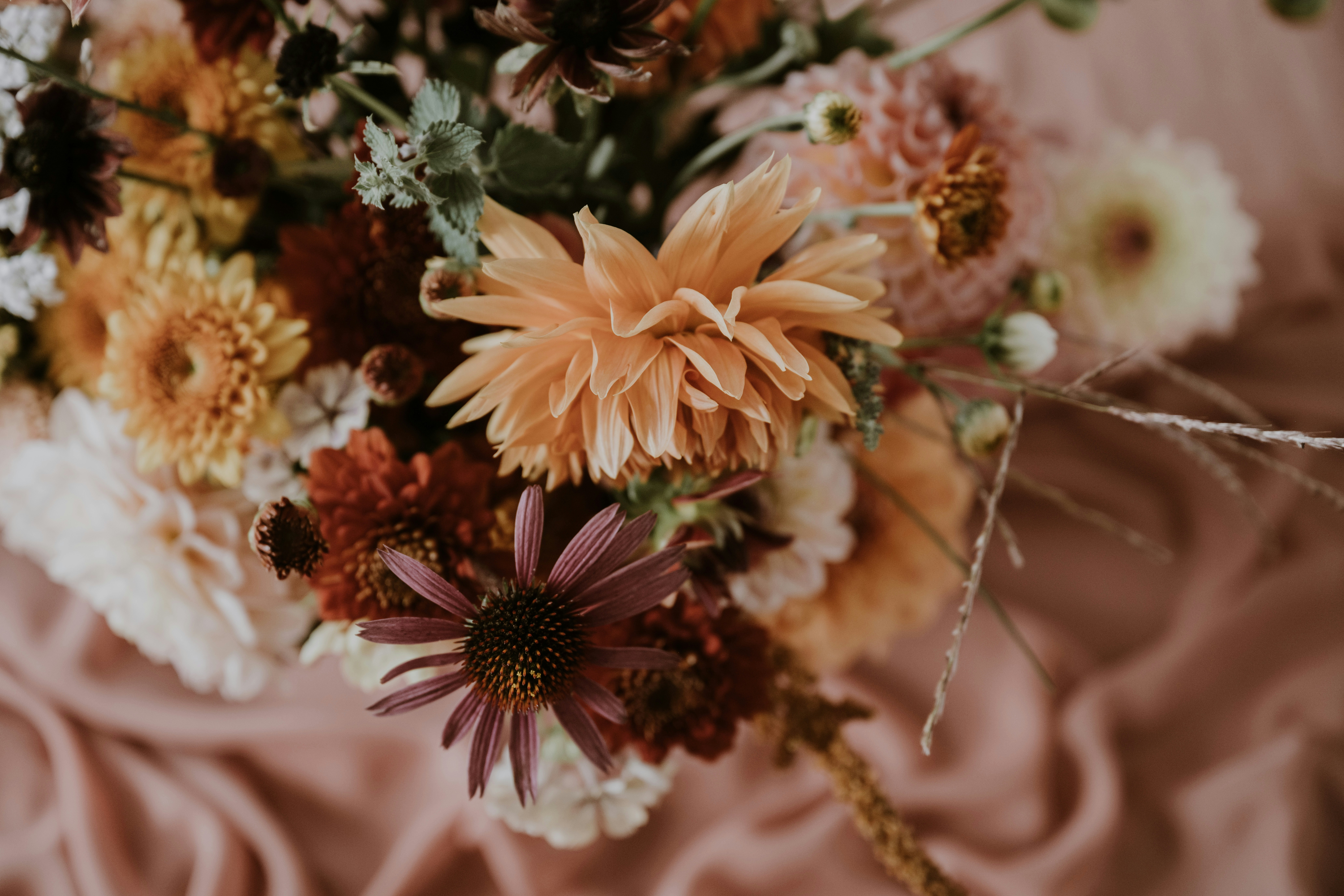 Photo by anitaaustvika