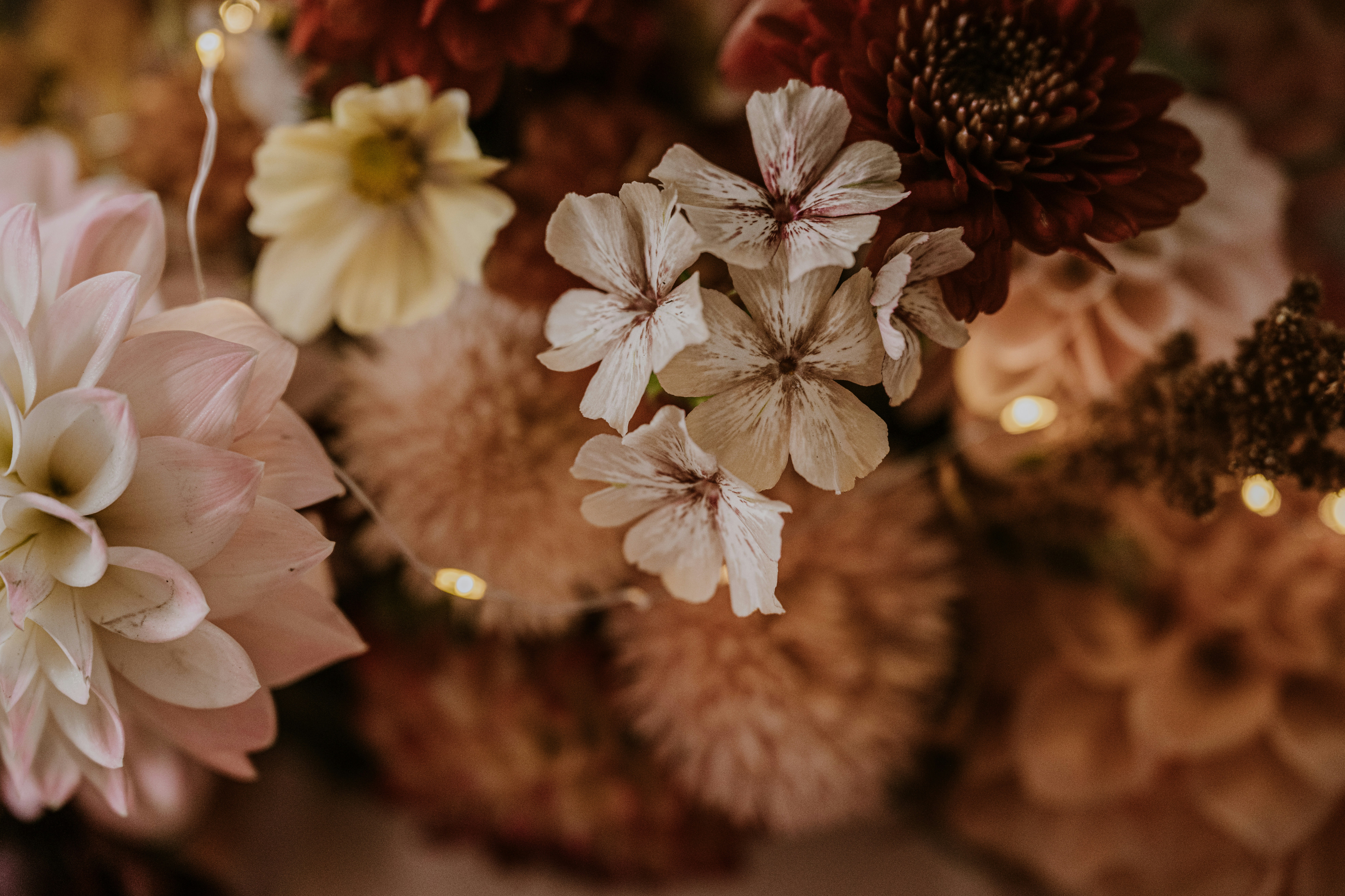 Photo by anitaaustvika