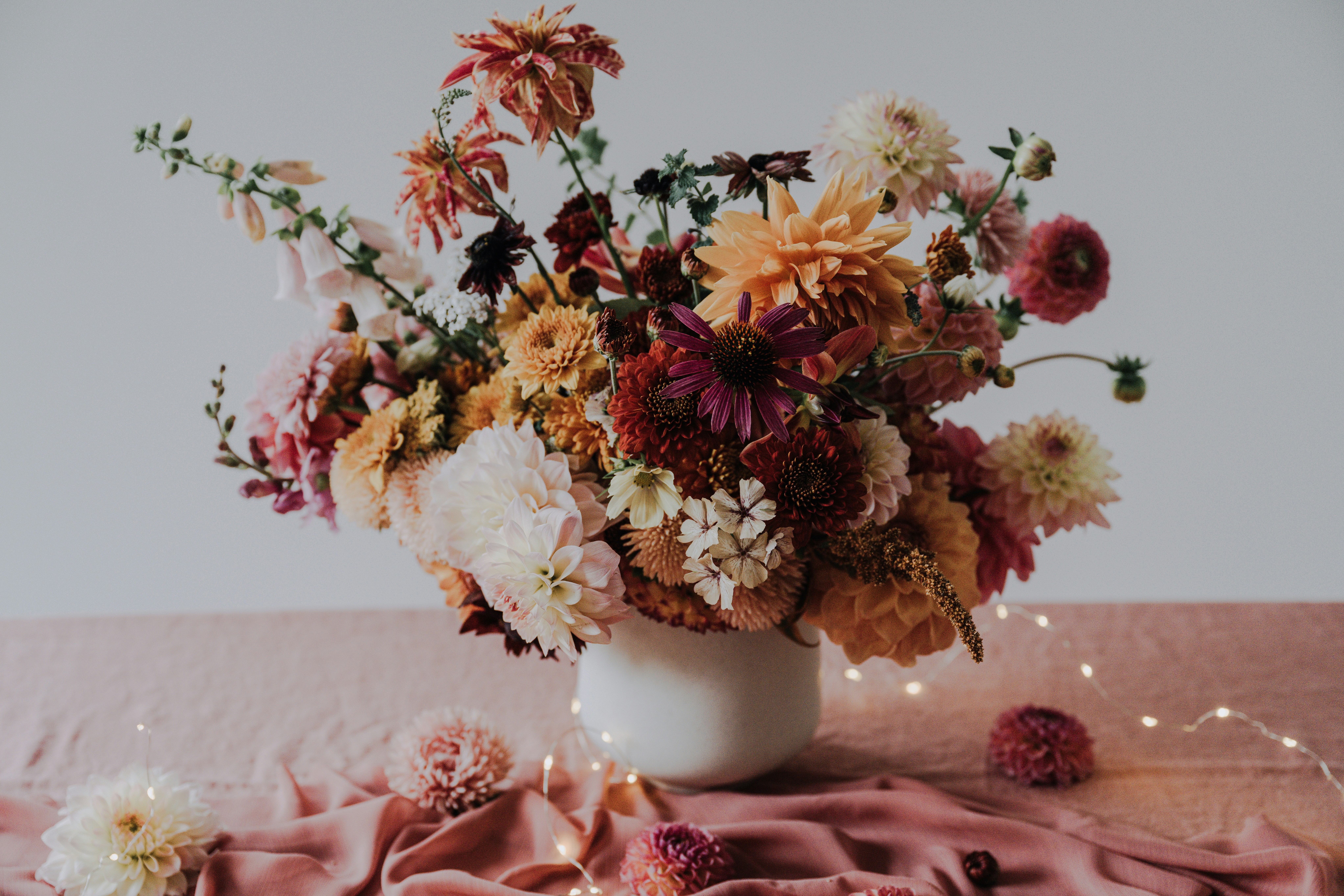 Photo by anitaaustvika