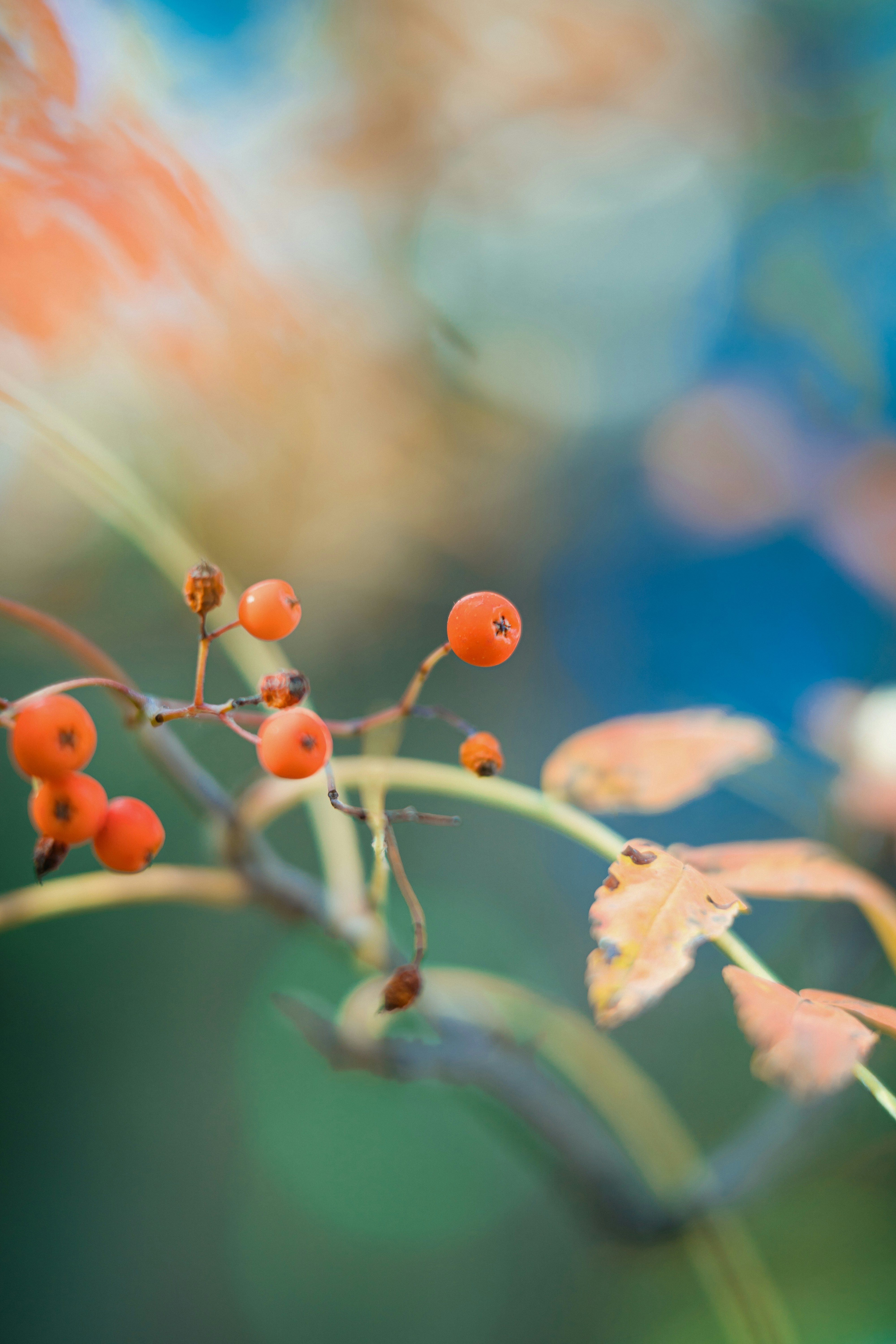 Photo by anamnesis33