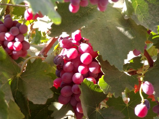 Photo 1696314402198 B9b8f555387e?q=85&w=700&h=400&fit=crop