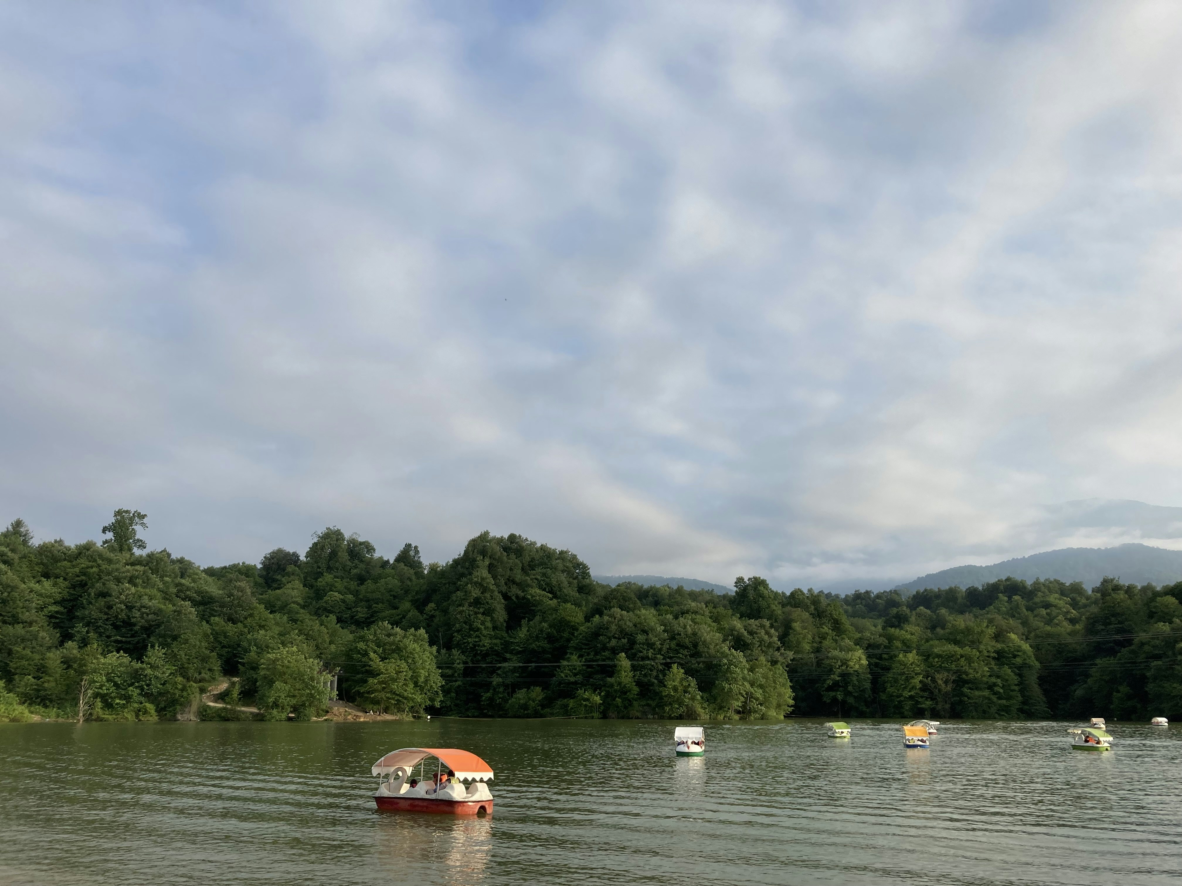 Photo by sina_moradbakhti