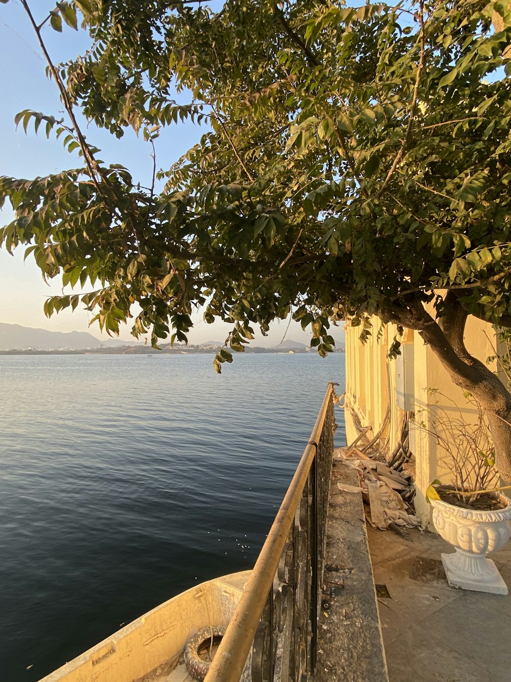 a boat sitting on top of a lake next to a tree