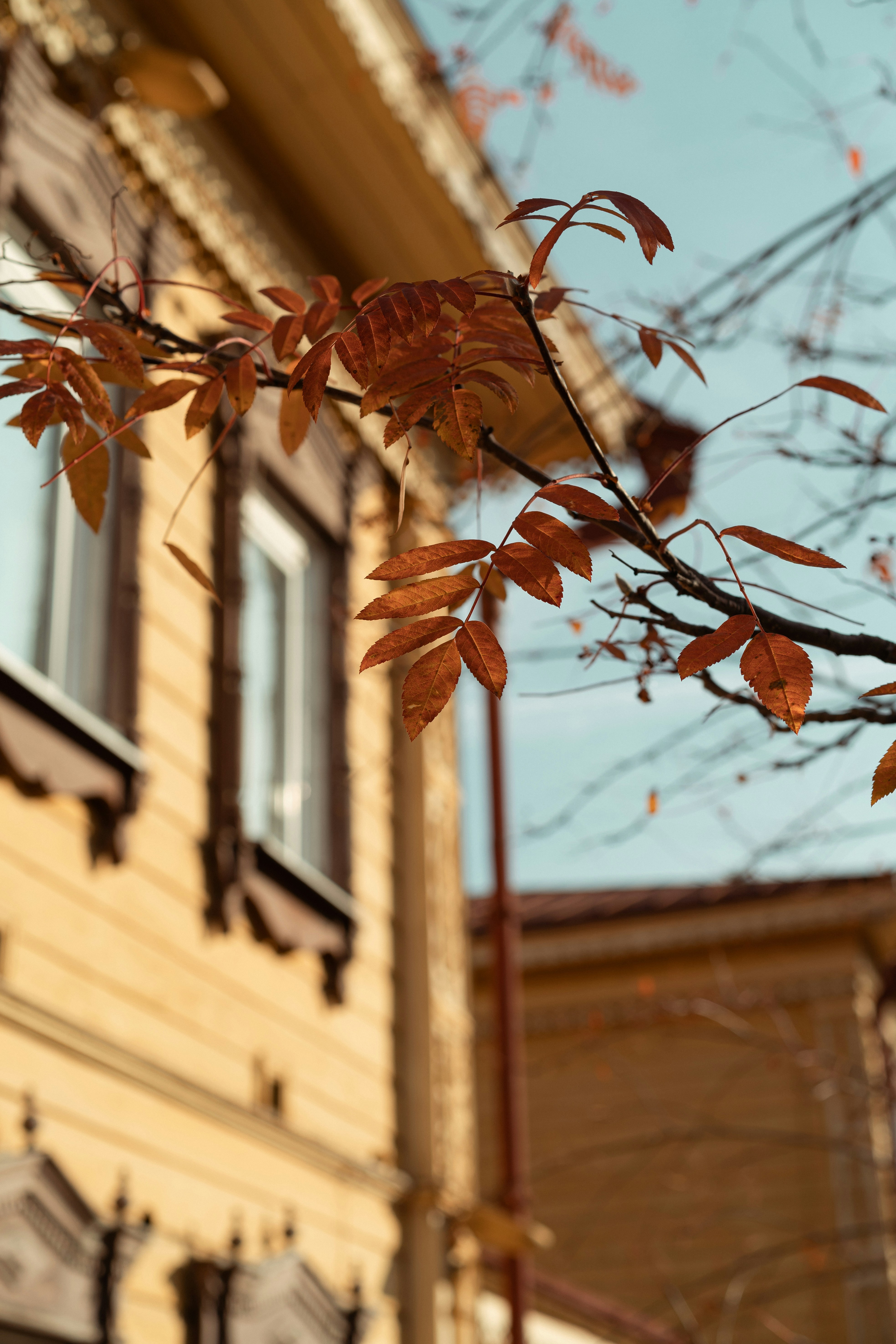 Photo by anamnesis33