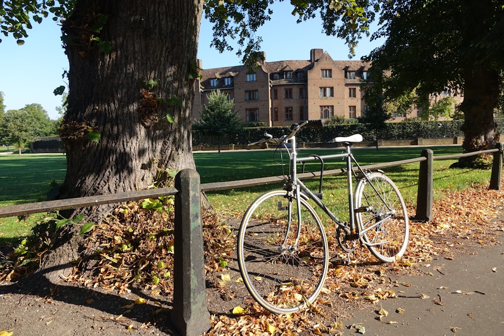 공원의 나무 옆에 주차된 자전거
