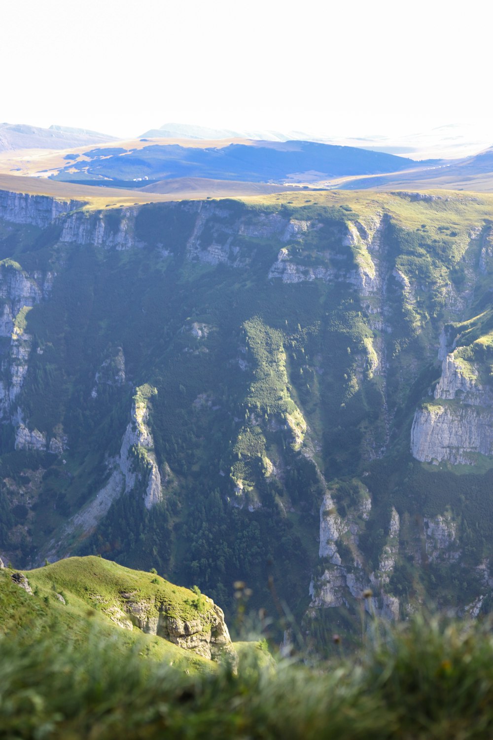 a view of a valley with a mountain in the background