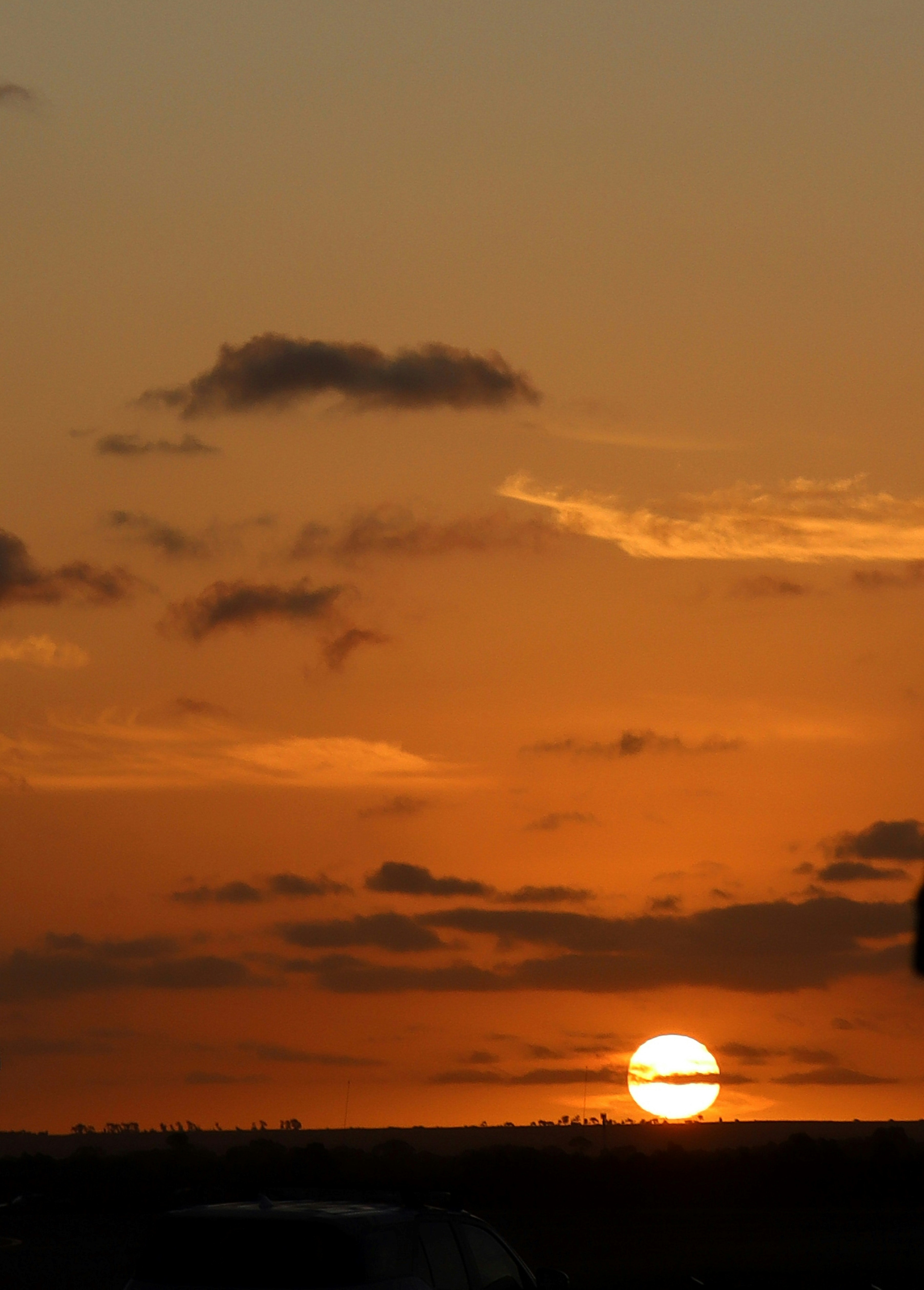 Photo by craigmanners_com