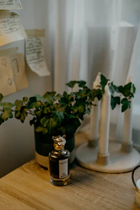 A cozy workspace with perfume bottles, dried flowers, and handwritten scent notes on a wooden table.