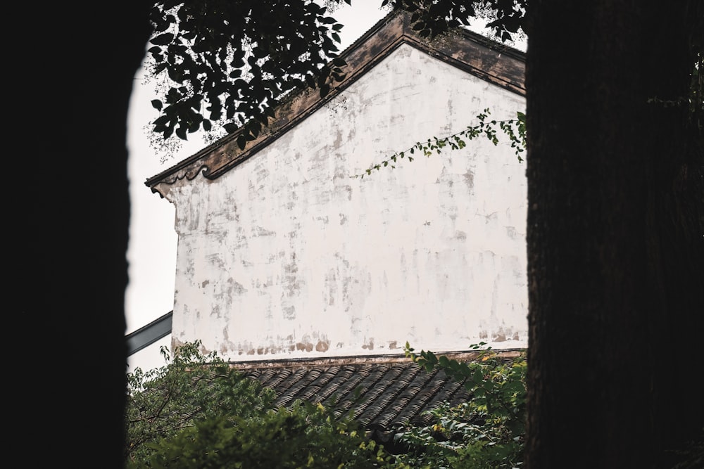 a white building with a tree in front of it